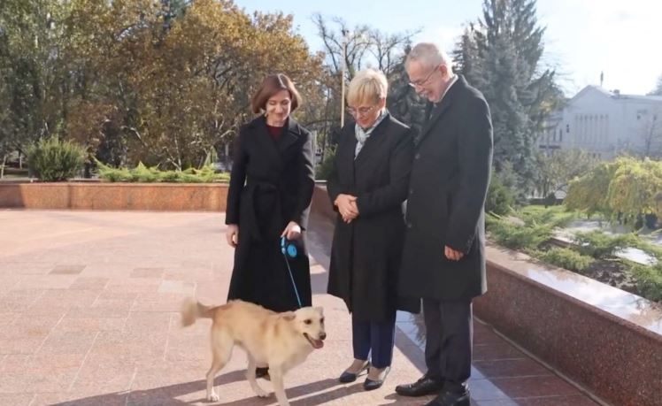 كلب رئيسة مولدافيا يعض رئيس النمسا
