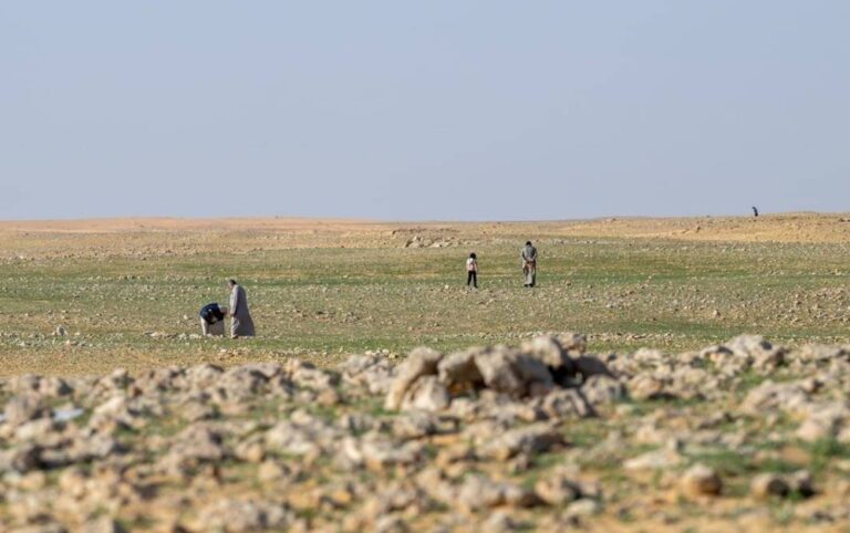 «حرس-الحدود»-يهيب-بهواة-الرحلات-البرية-والباحثين-عن-«الفقع»-عدم-الاقتراب-من-المناطق-الحدودية