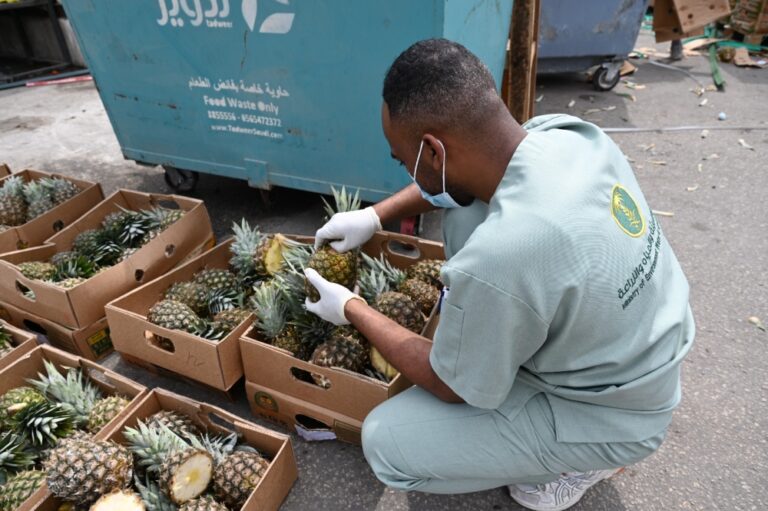 صور|-“حملة-الفجر”-تضبط-8-أطنان-من-الأناناس-الفاسد-بأسواق-الشرقية